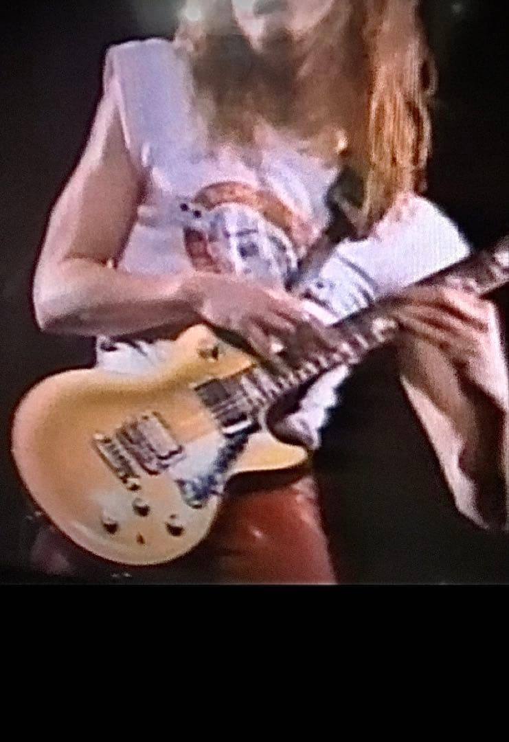 フェルナンデス ナイトレンジャー！初期のジェフワトソンモデル