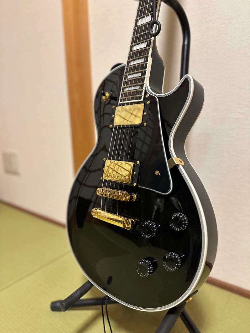 Grassroots G-LP-CTM ・ARIA PROⅡ AB-10PLUS
