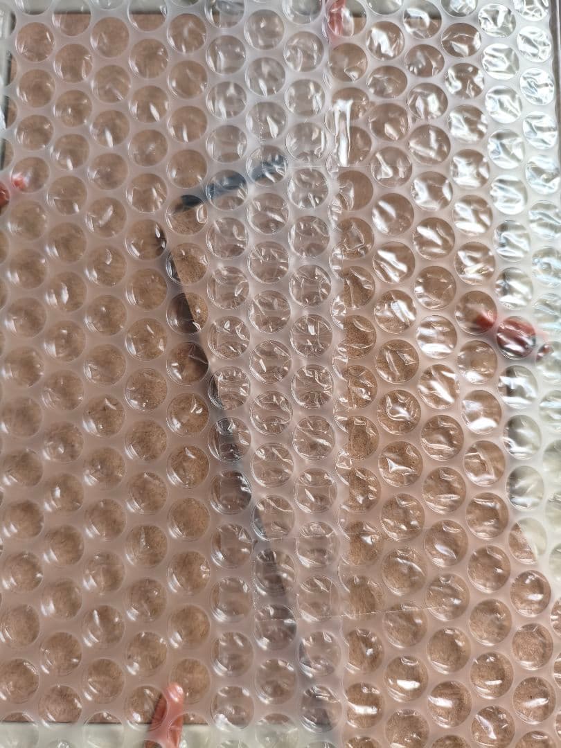 湊かなえ 直筆サイン 告白 300万部 突破記念 シリアルナンバー入り