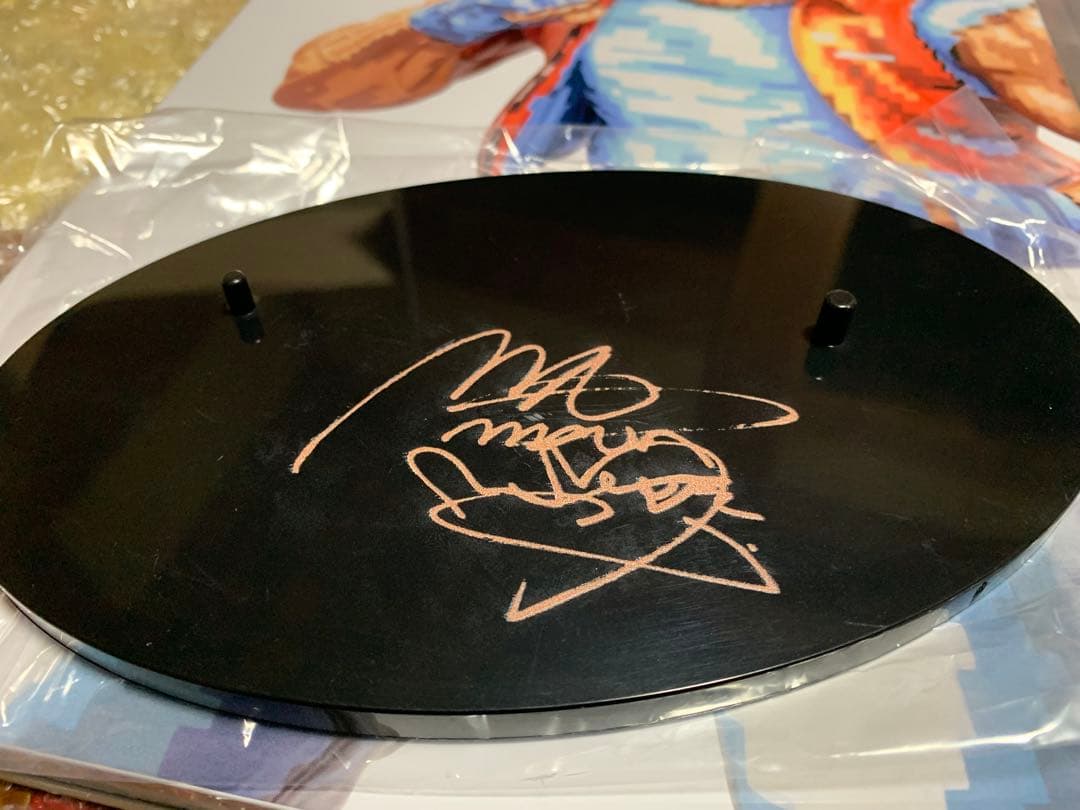 STUDIO24 テリー ボガード 餓狼伝説 KOFドット絵彩色 フィギュア