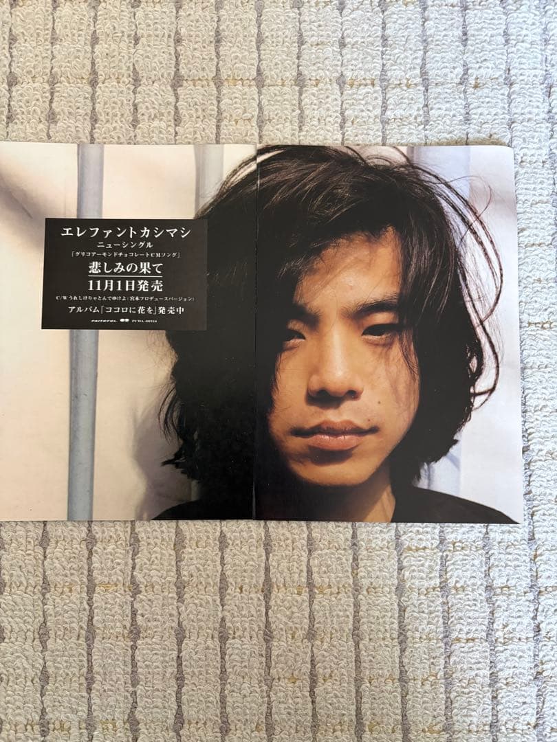 エレファントカシマシ 宮本浩次　切り抜き 約８０枚ぐらい