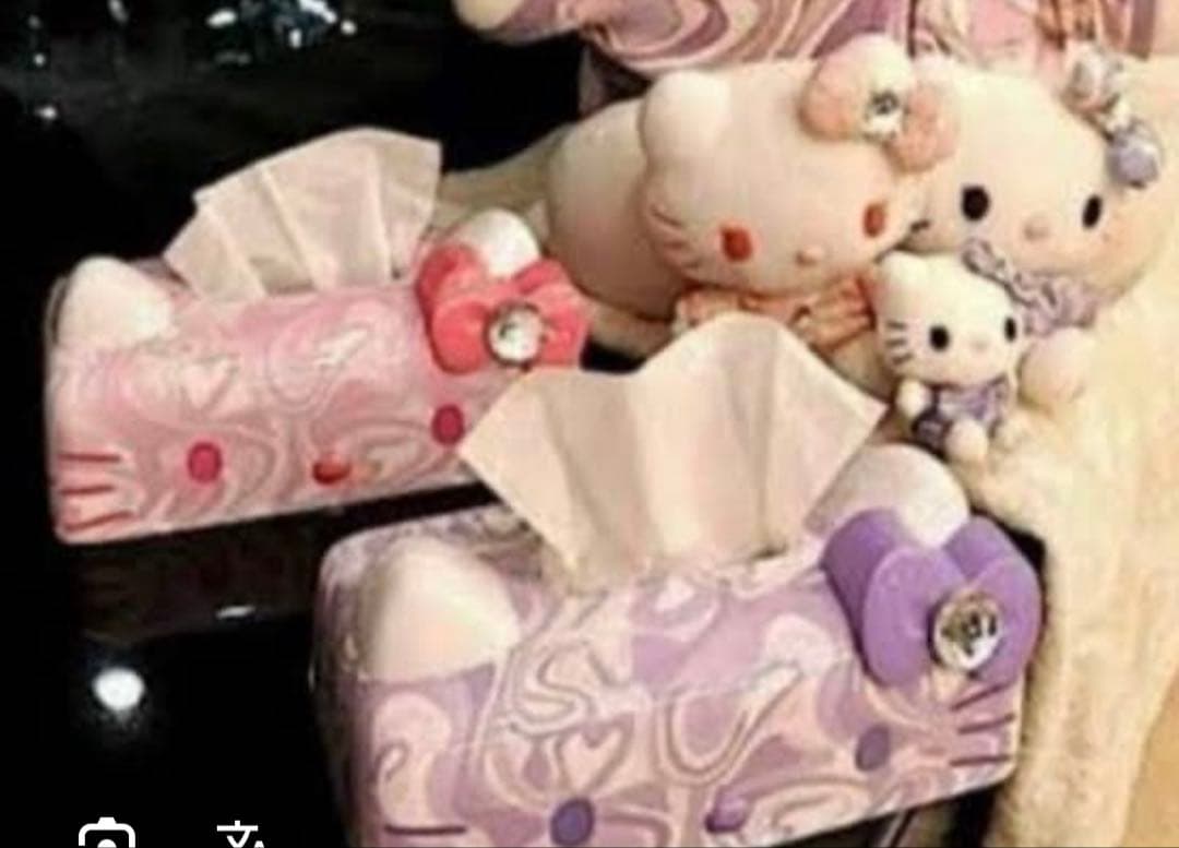 Rady ハローキティ ティッシュケース Rady（ティッシュボックス）のフリマアイテム一覧