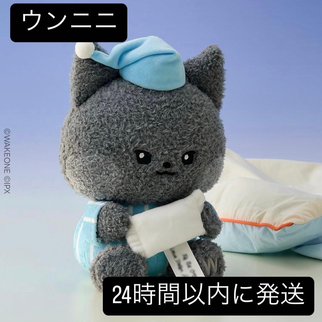 zerobaseone Message Plush ウンニニ キムジウン - メルカリ