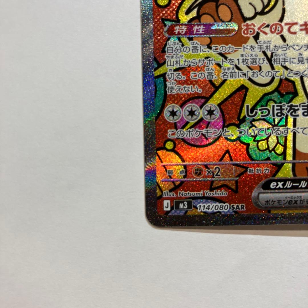 【美品:濡れ折れ対策の上発送致します】ニャースsar