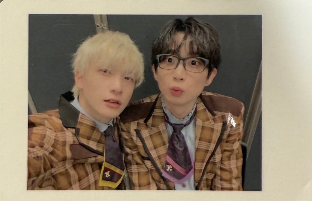 パンダドラゴン おいも 混合ハピカ パンダドラゴン ハピカ 日本武道館 - メルカリ