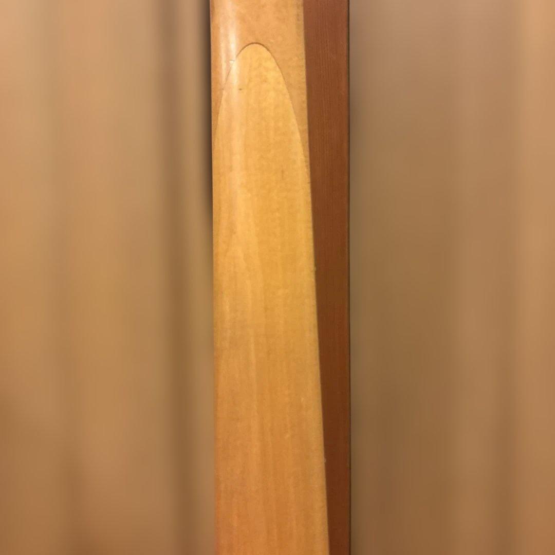 【クオリティさん専用】B.C.Rich Marionソフトケース付 新品弦張替済