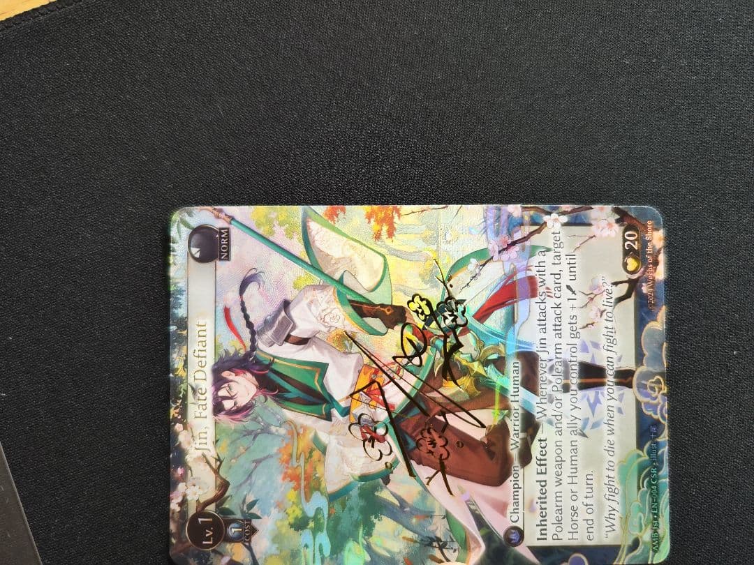 ★ レインさん専用出品 ★　Arisanna + Jin CSR