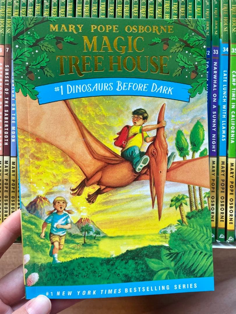 新品Magic Tree Houseシリーズ1 -2英語絵本65冊