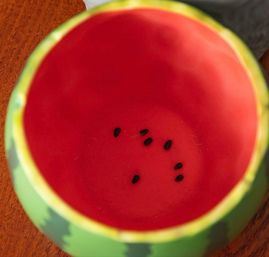 となりのトトロ　プランターカバー　スイカ畑から　ジブリ