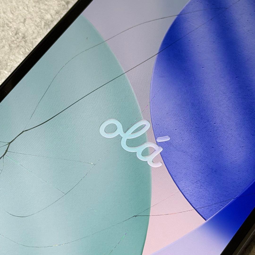 Apple iPhone 13 ProMax シエラブルー 1TB 画面ひび有り