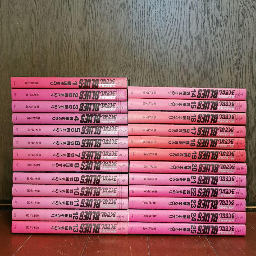 文庫版 ろくでなしBLUES 全巻完結1~25巻 森田 まさのり - メルカリ