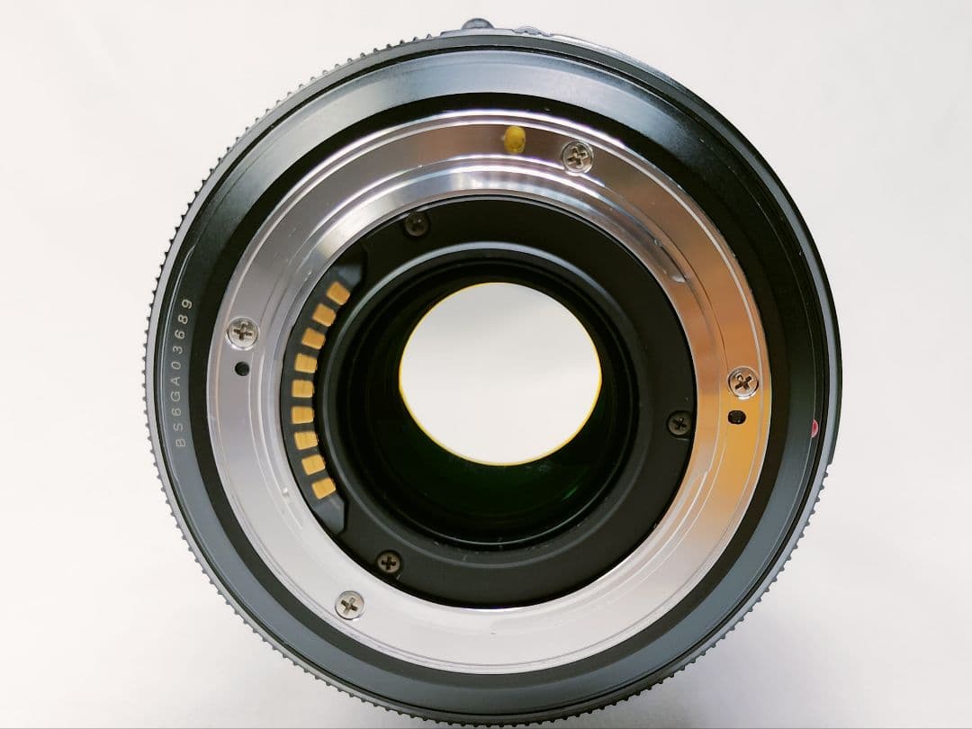 訳有 LUMIX VARIO-ELMARIT 14-50mm F2.8-3.5