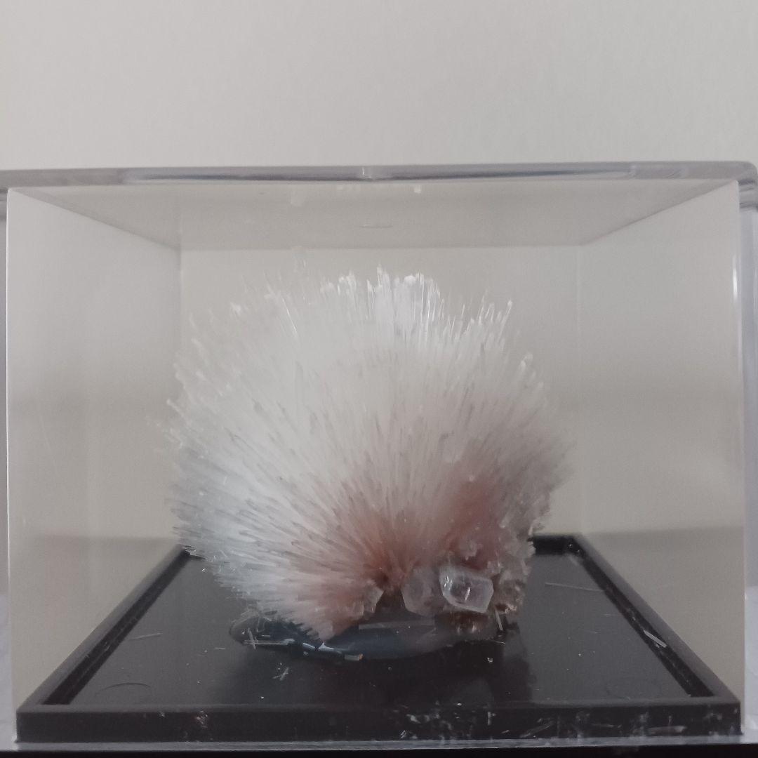 スコレス沸石(スコレサイト）魚眼石(アポフィライト) 最高品質魚眼石（Apophylite・アポフィライト） Poona,Maharashtra