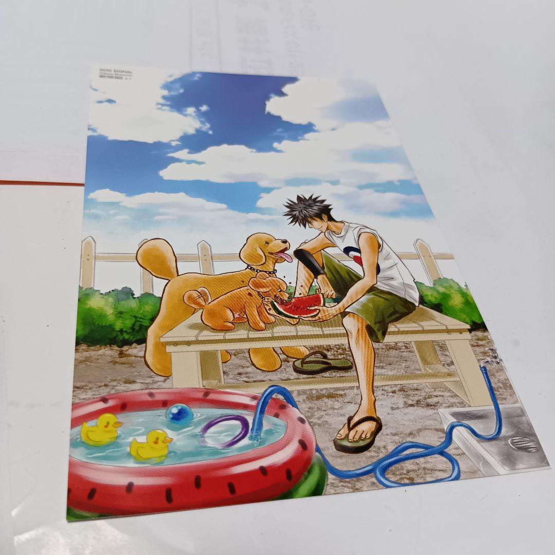 イラストカード付】DOG SIGNAL 1〜14巻 全巻セット ドッグシグナル