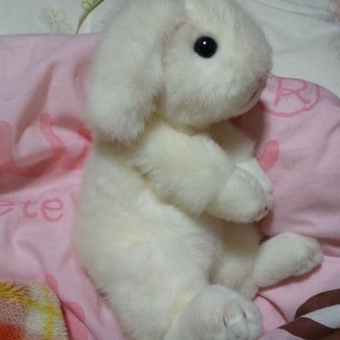 (吉徳の。)ぬいぐるみ