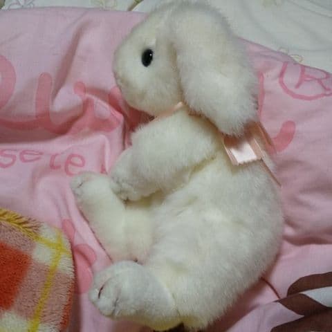 (吉徳の。)ぬいぐるみ