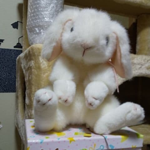 (吉徳の。)ぬいぐるみ