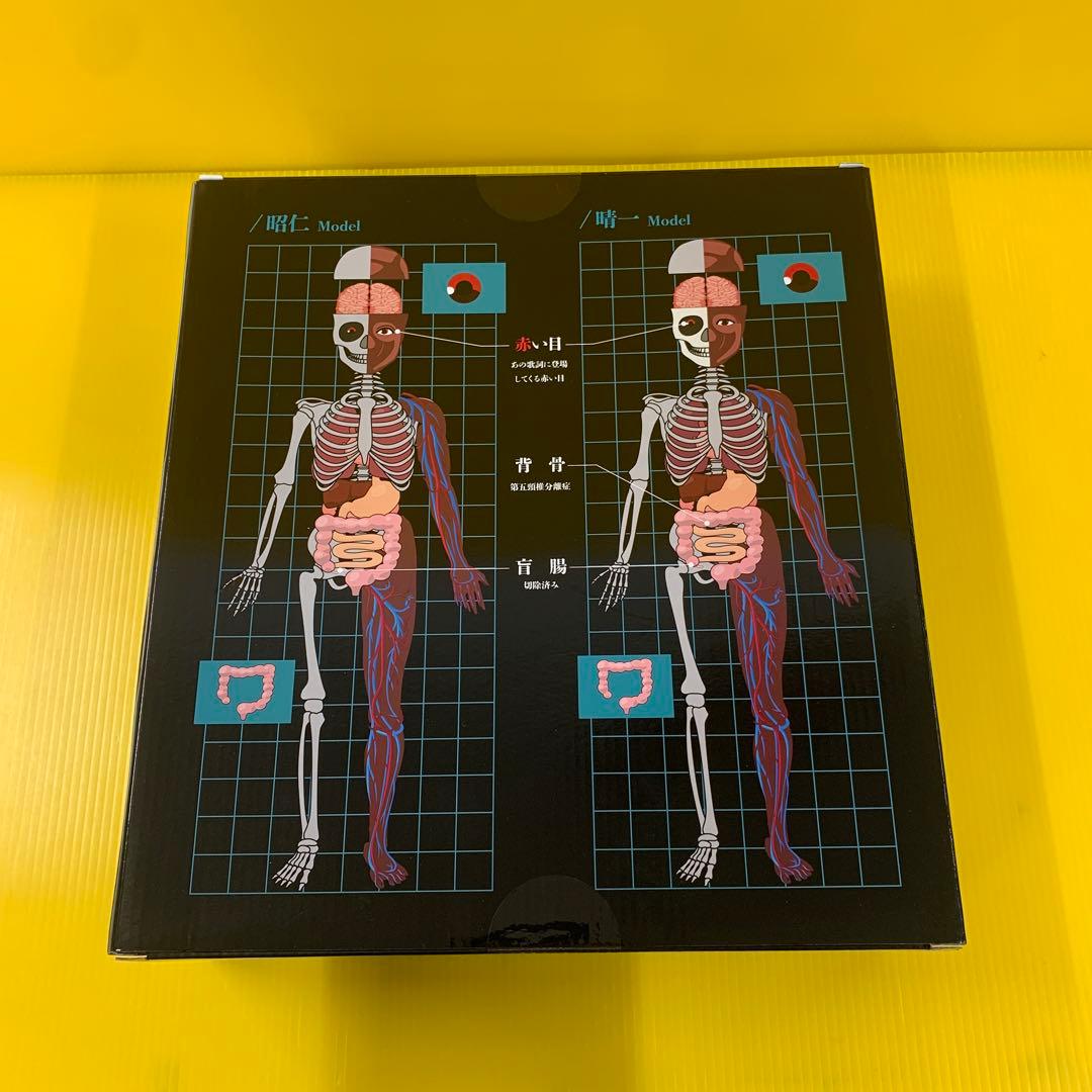 人体模型 ポルノグラフィティ A!SMART限定 - メルカリ