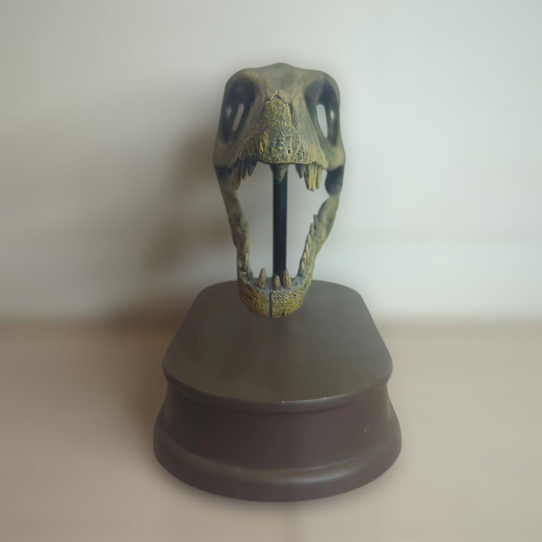 FAVORITE フェバリット ヴェロキラプトル スカル&ジョーズ 1/1