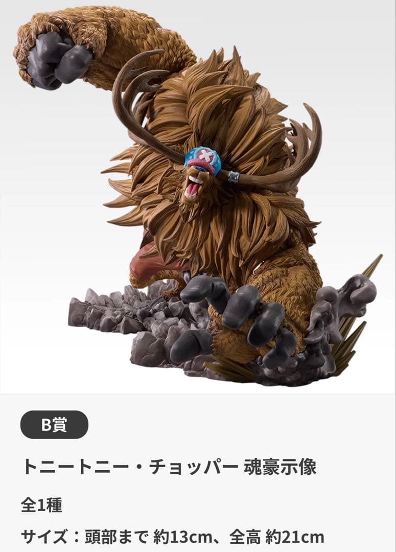 一番くじ ワンピース EX 悪魔を宿す者達 vol.3 B賞 D賞 合計2種