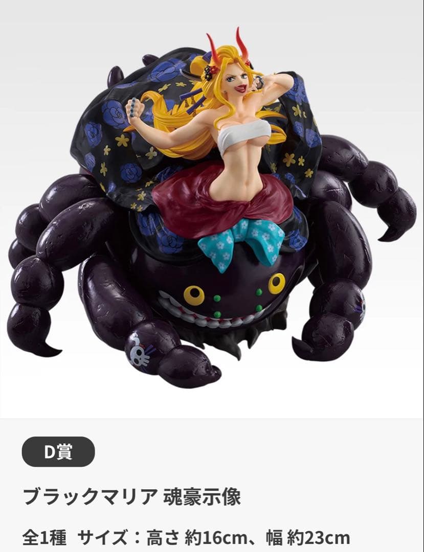 一番くじ ワンピース EX 悪魔を宿す者達 vol.3 B賞 D賞 合計2種