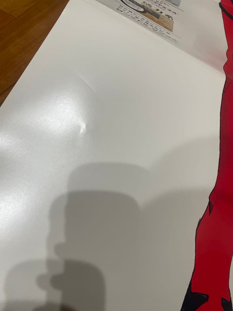 限定　エヴァ　サンテ　 渚カヲル　アスカ　POP パネル