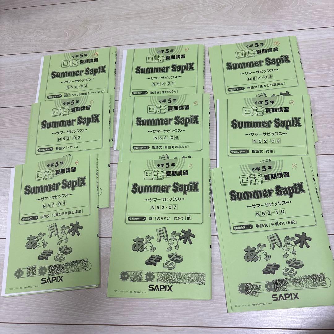 Sapix 五年 国語 フルセット - メルカリ