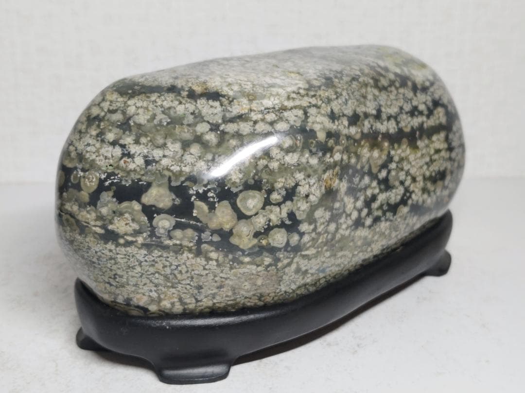 花紋石 1.8kg 錦石 菊花石 紋石 鑑賞石 原石 自然石 天然石 水石