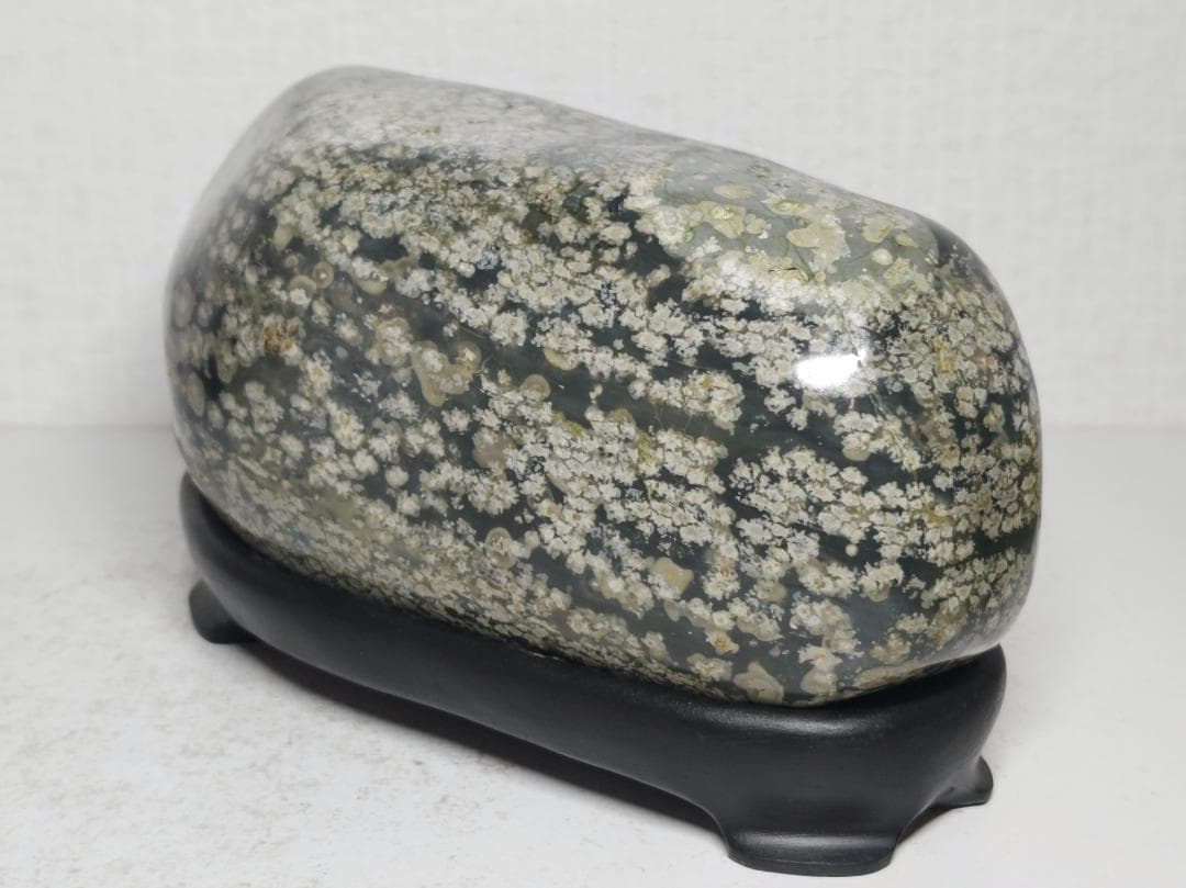 花紋石 1.8kg 錦石 菊花石 紋石 鑑賞石 原石 自然石 天然石 水石