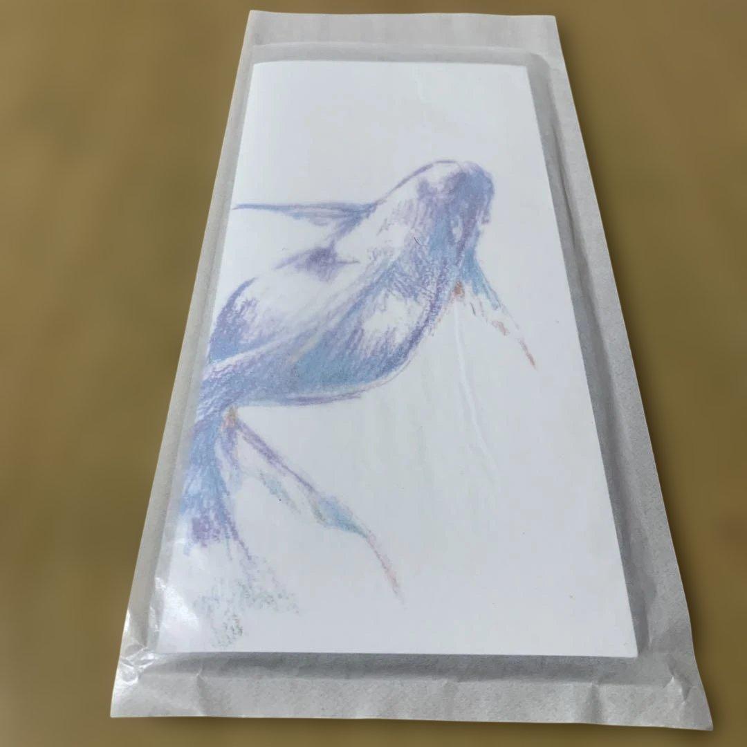 CorLeonis (やなぎなぎ)会場限定 玻璃鏡の双子/金魚鉢のセイレーン