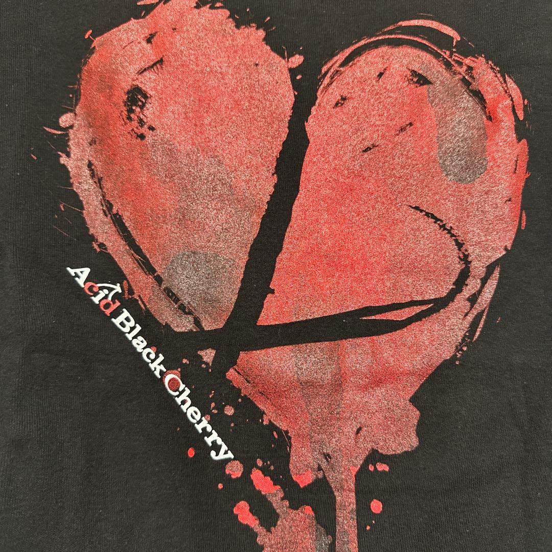 Acid Black CherryメンズМレディース Tシャツ FCタオルセット