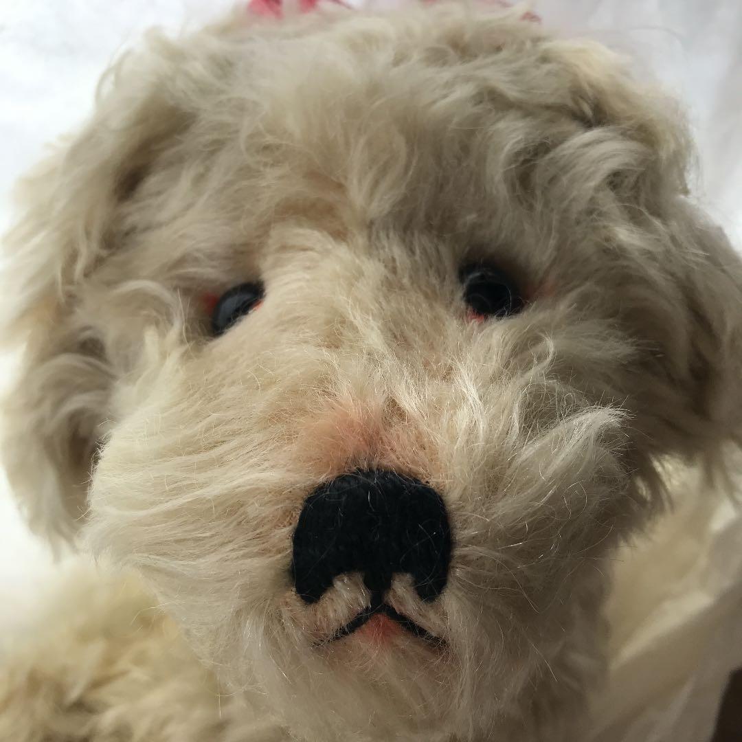 日本限定　５０体　シュタイフ　プードル　1931