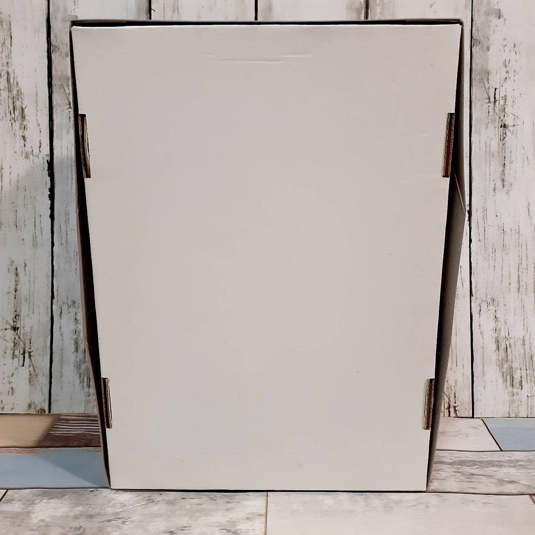 フューチャーモデルズ バーチャファイター サラ ガレージキット