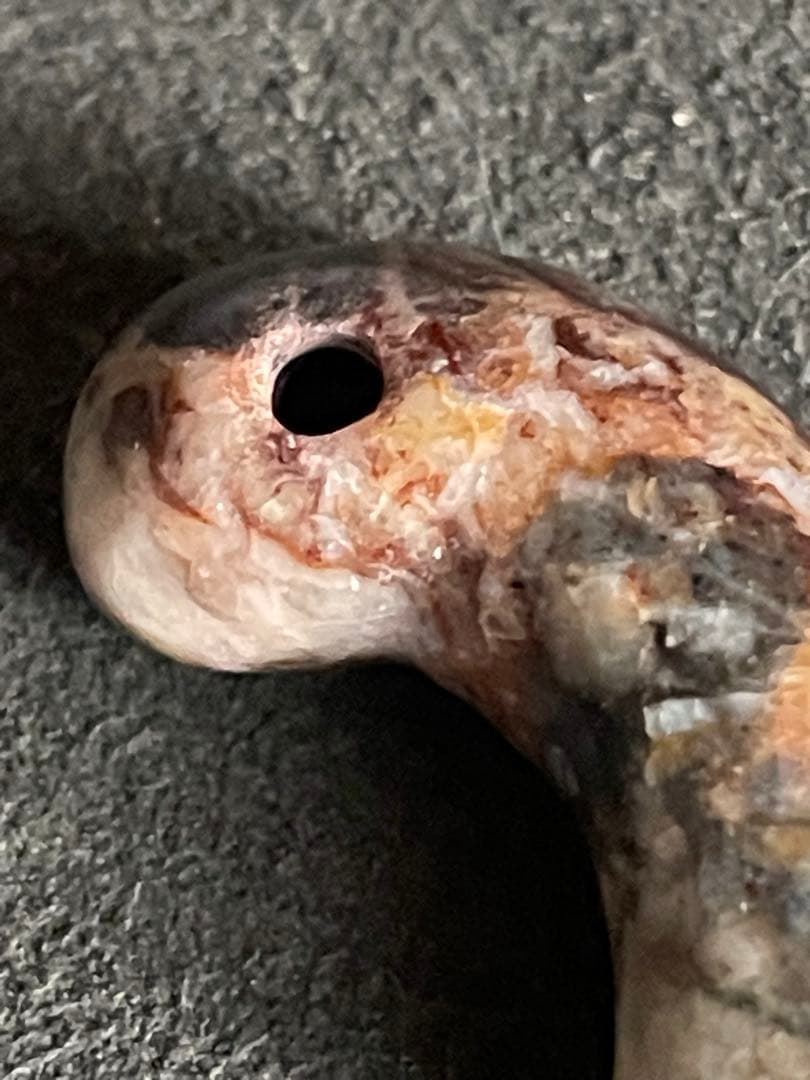 弥生〜古墳時代勾玉 変成岩？