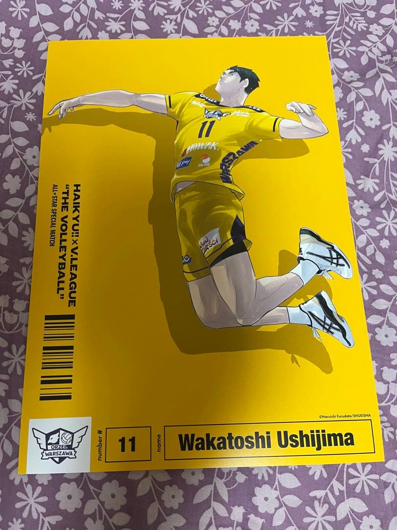 ハイキュー Vリーグ ポスター - メルカリ