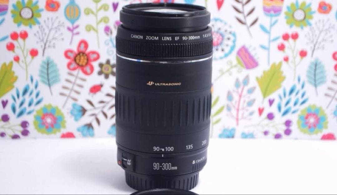 ☆極美品☆一眼用 超迫力望遠レンズ キヤノン EF90-300mm Canon ☆