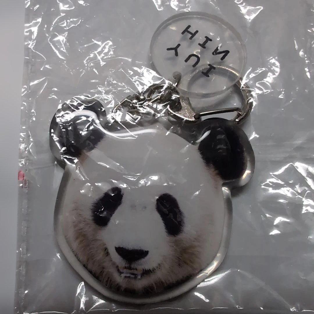 結浜 ウエノでパンダ春節祭 上野動物園 アクリルキーホルダーガチャ