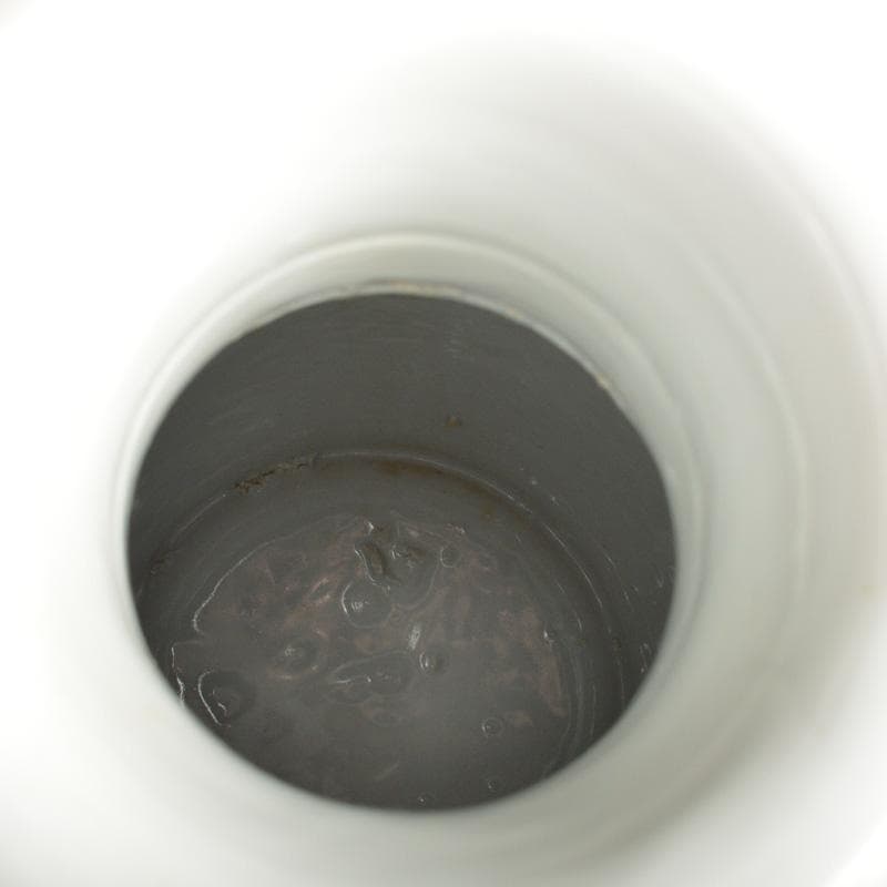 中国 大清康煕年製 緑釉粉彩 雲龍文瓶 V 5404A - メルカリ