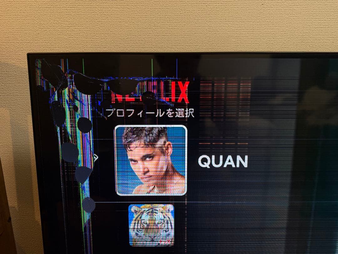 ジャンク】TOSHIBA REGZA 55Z670N 55型 画面割れ - メルカリ