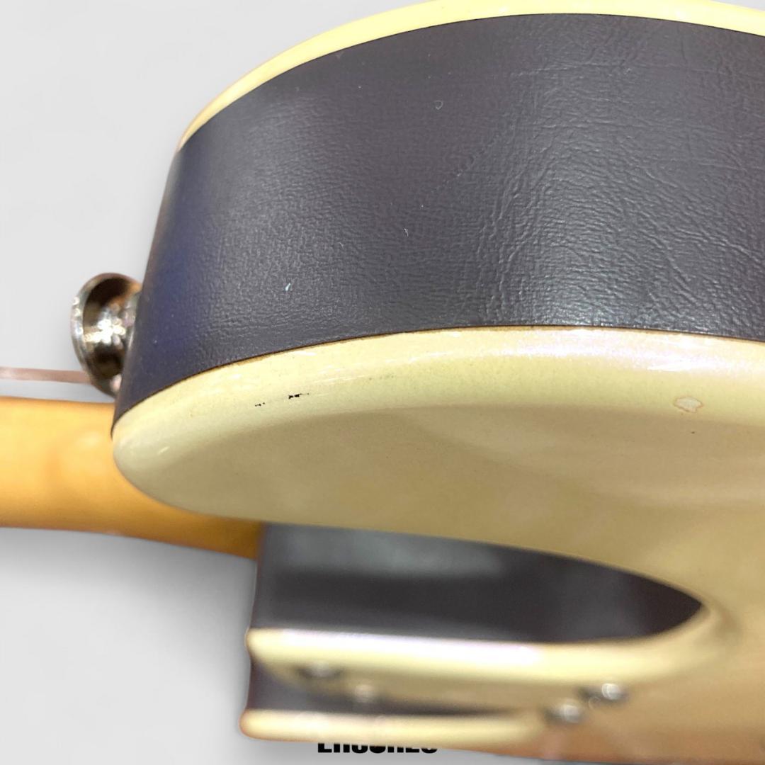 Danelectro HODAD ダンエレクトロ エレキギター