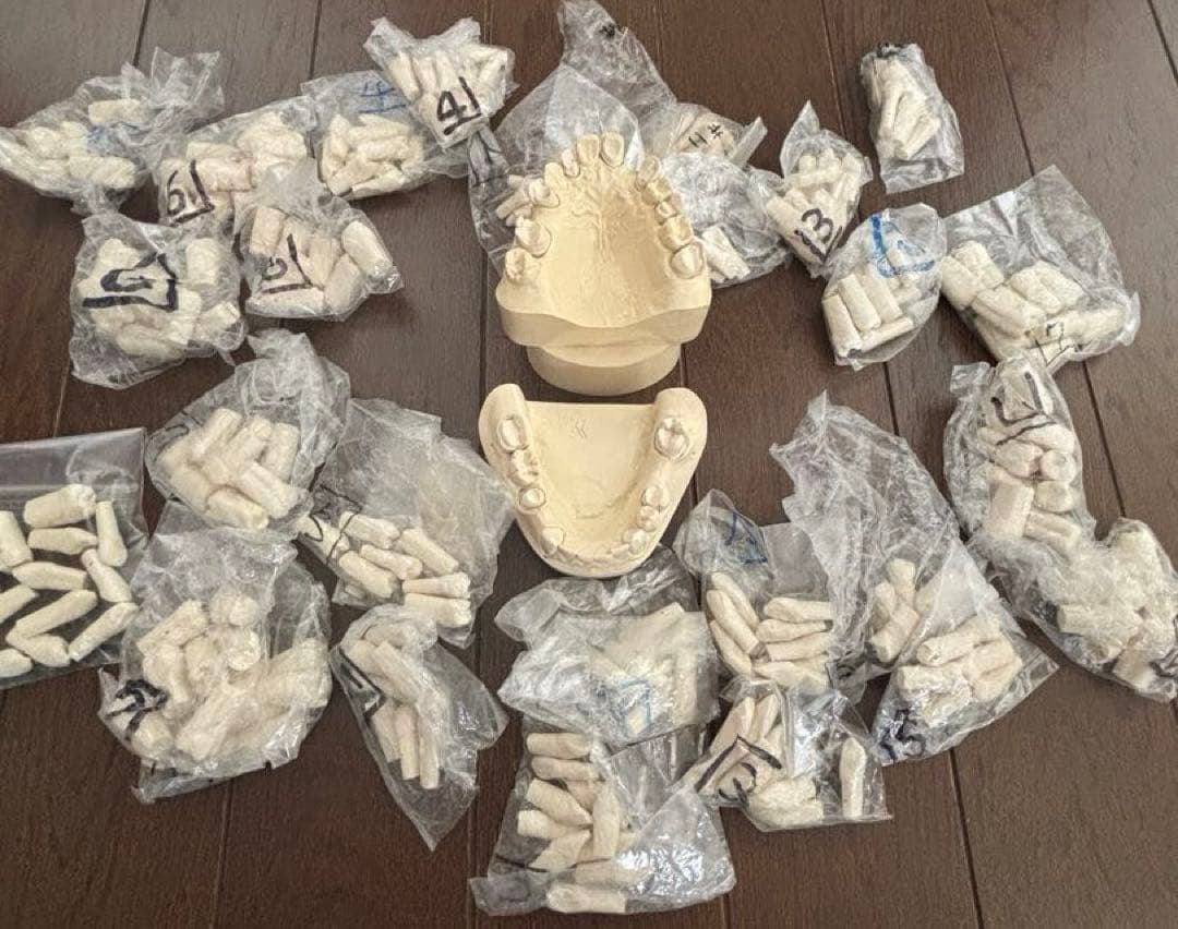 歯科　支台歯形成　練習模型　セット