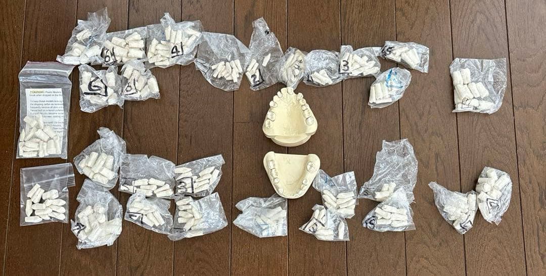 歯科　支台歯形成　練習模型　セット