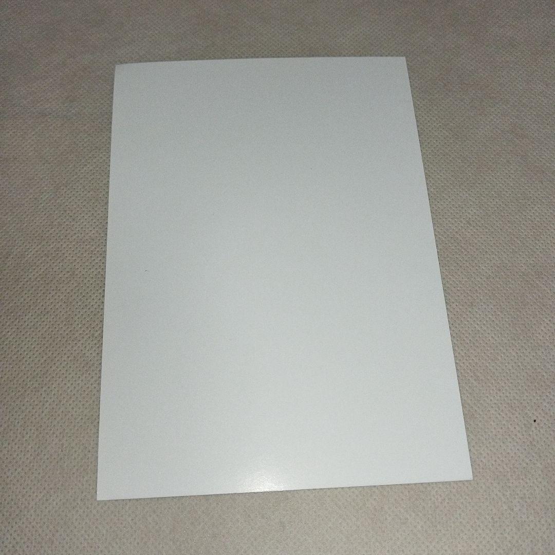 月刊少女野崎くん　特典　イラストカード　堀政行　鹿島遊