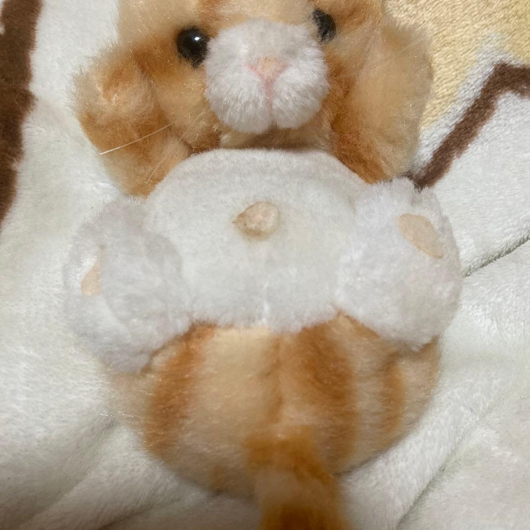 ファースト社　いたずら天使　ネコ　中古品　3コセット