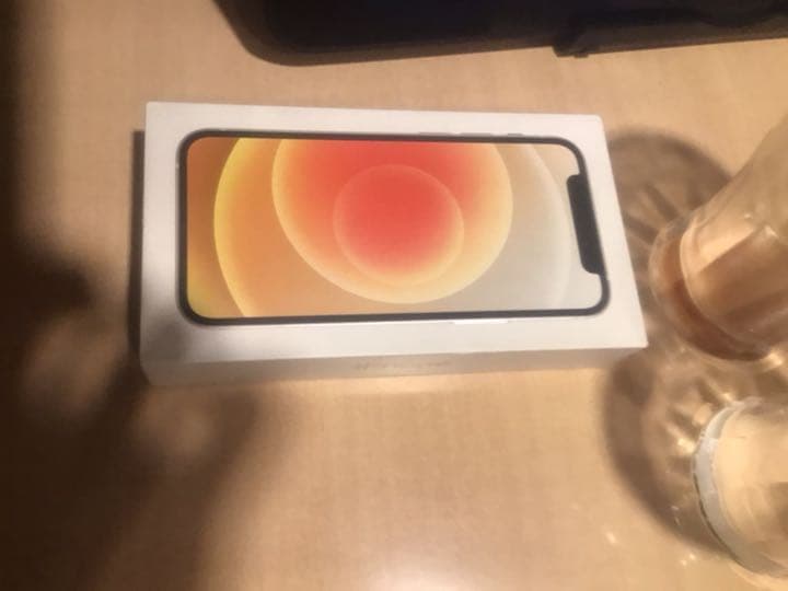 イヤホン iPhone12 iPhone 12 Pro Max mini 11 XS XR イヤホン変換アダプタ 充電しながら