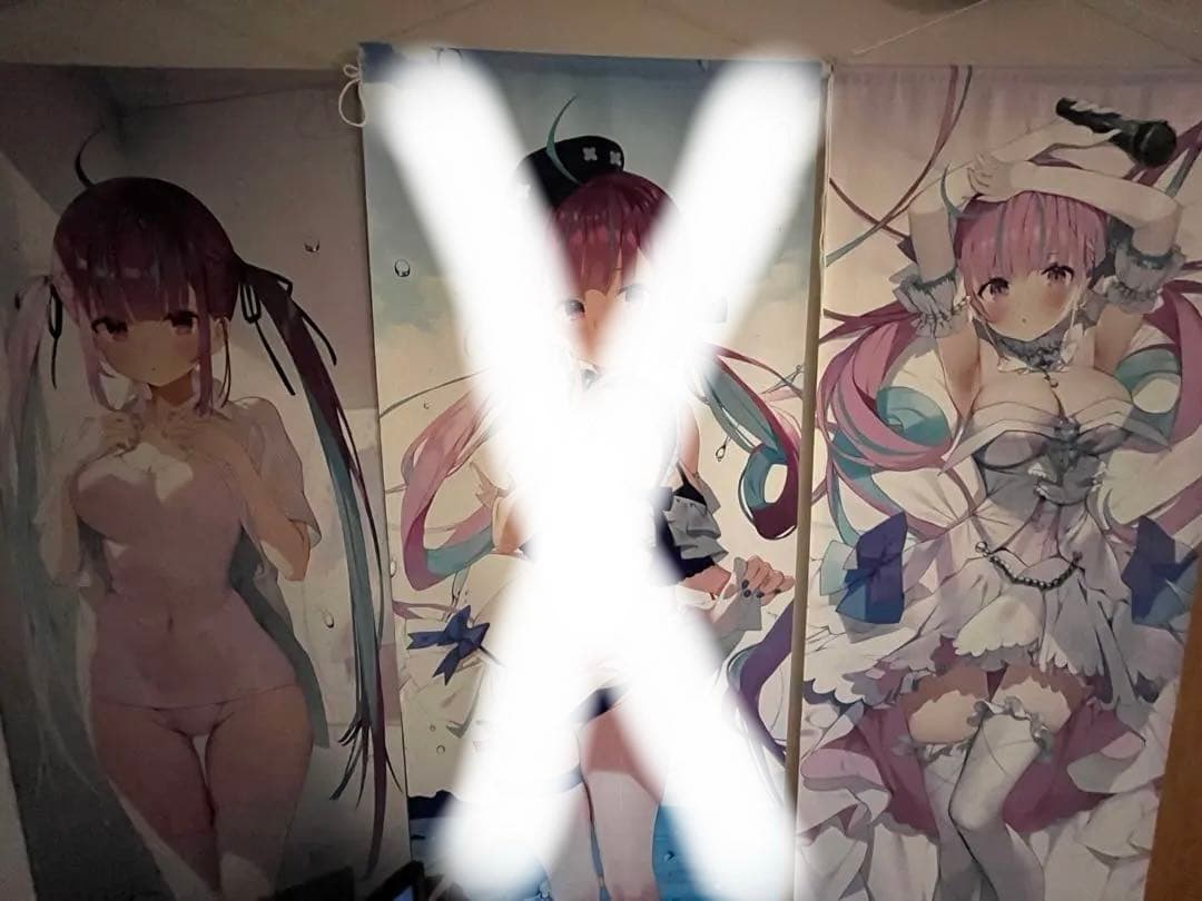 湊あくあ 等身大タペストリー まかろん大帝 がおう 2枚セット Amazon.co.jp: ホロ ライブ 湊あくあ タペストリー がおう まかろん