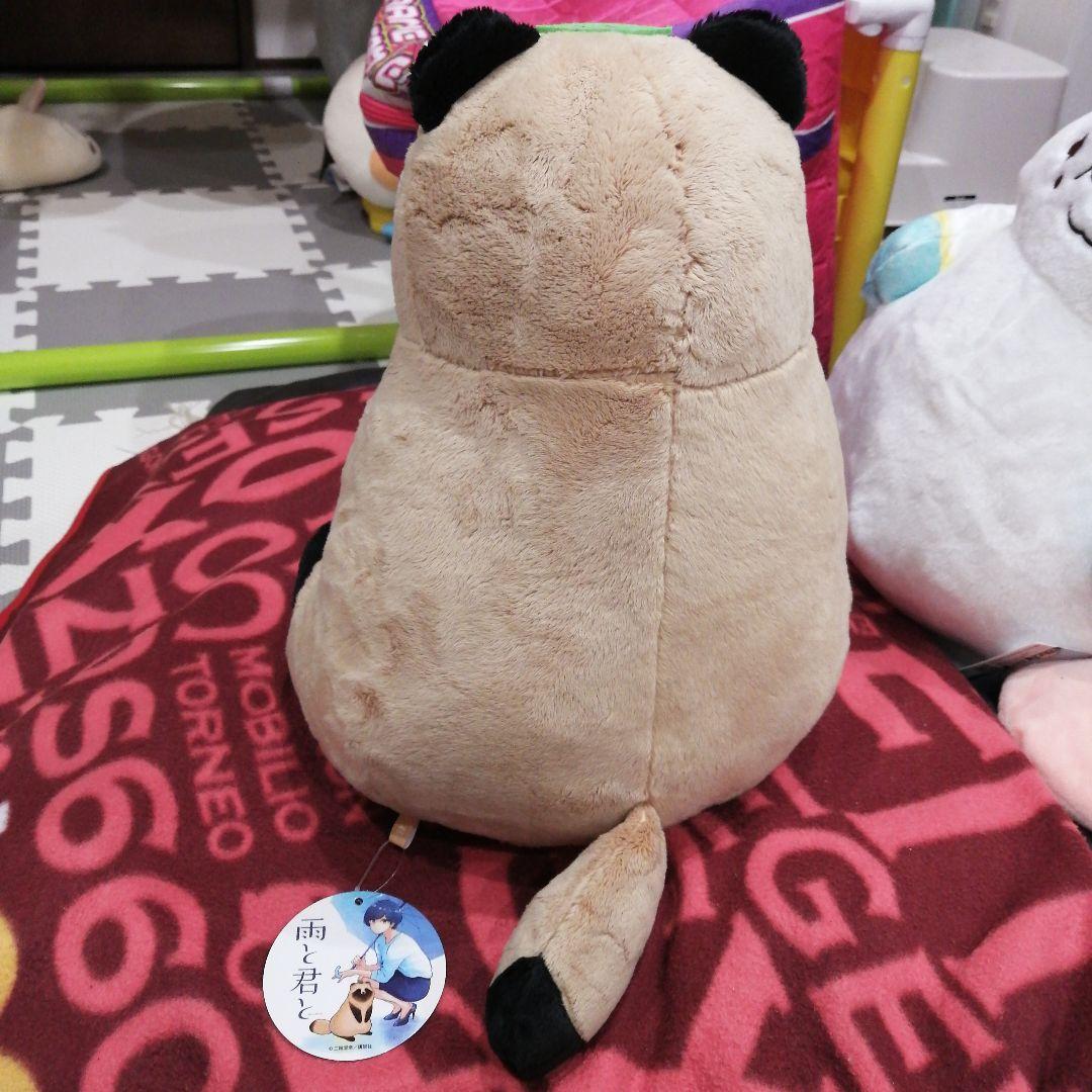 雨と君と BIGぬいぐるみ 『たぬき (犬)』 - メルカリ