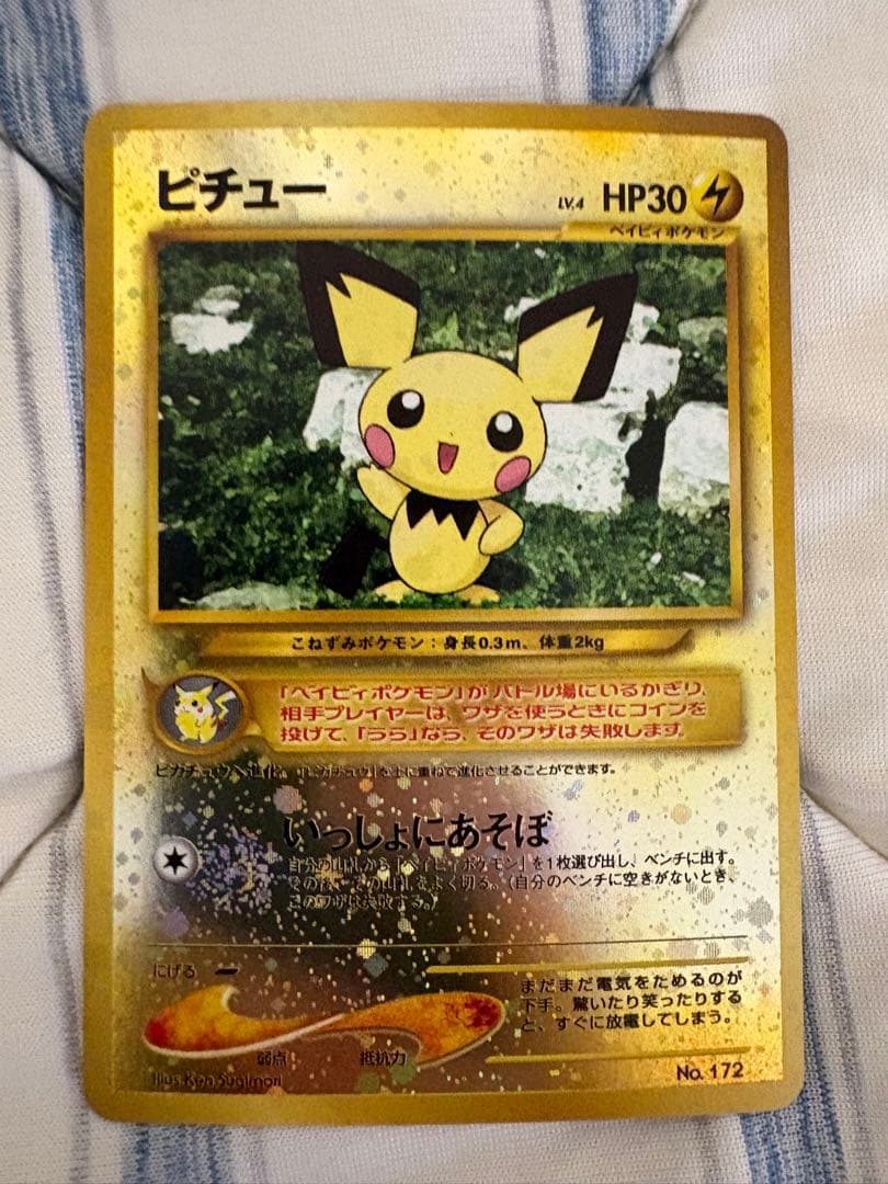 【旧裏】ポケモンカード neo プレミアムファイル3 ＋かえんリザードン　その他