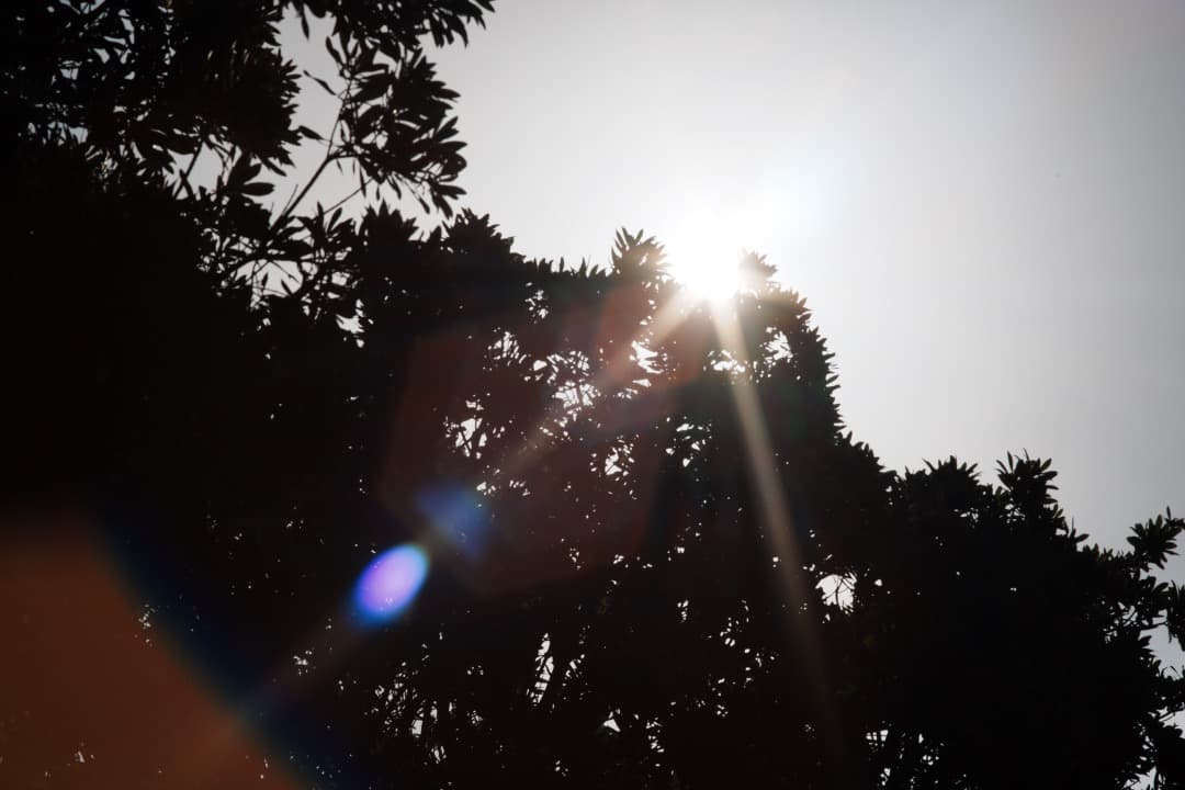 虹ゴ】ミノルタ MC-ROKKOR PF 85mm F1.7 前 409 - メルカリ