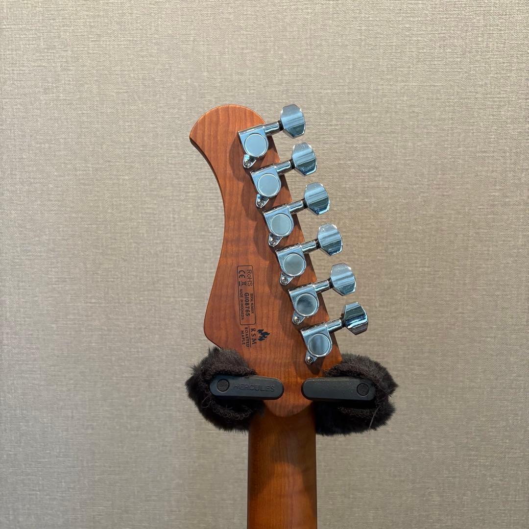 Bacchus Global Series テレキャスター